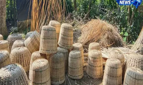 Assam: जलवायु परिवर्तन और बढ़ती ईंधन कीमतों ने चाय श्रमिकों की मुश्किलें बढ़ाईं Assam: जलवायु परिवर्तन और बढ़ती ईंधन कीमतों ने चाय श्रमिकों की मुश्किलें बढ़ाईं