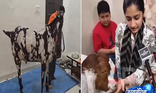 Bakrid Special: इंदौर के 200 किलो और 48 इंच लंबे बकरे ‘सुल्तान’ की कीमत ₹8 लाख Bakrid Special: इंदौर के 200 किलो और 48 इंच लंबे बकरे ‘सुल्तान’ की कीमत ₹8 लाख