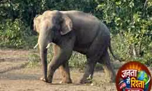 Khurda टस्कर के हमले में व्यक्ति की हालत गंभीर Khurda टस्कर के हमले में व्यक्ति की हालत गंभीर