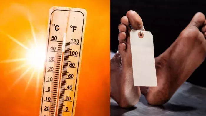 Sonipat: सोनीपत में लू लगने से मजदूर की मौत से हड़कंप Sonipat: सोनीपत में लू लगने से मजदूर की मौत से हड़कंप