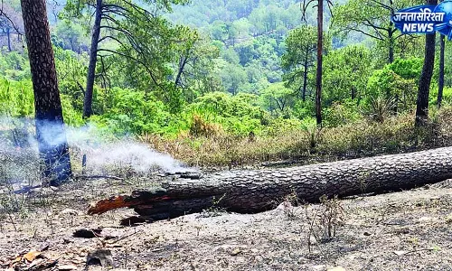 वन सुरक्षा के सरकारी दावे इस साल भी धुंआ-धुंआ