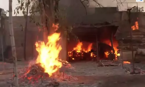 FIRE: बांसों के बाजार में आग, देखे वीडियो FIRE: बांसों के बाजार में आग, देखे वीडियो