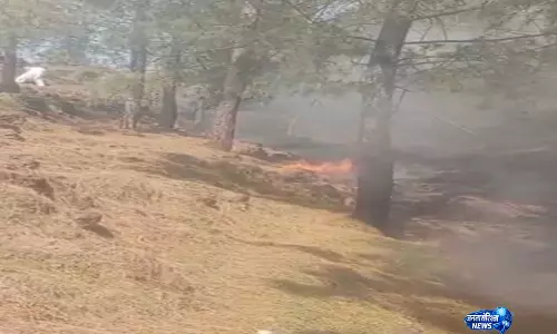J-K: राजौरी वन प्रभाग में कई जगहों पर भीषण जंगल की आग भड़की