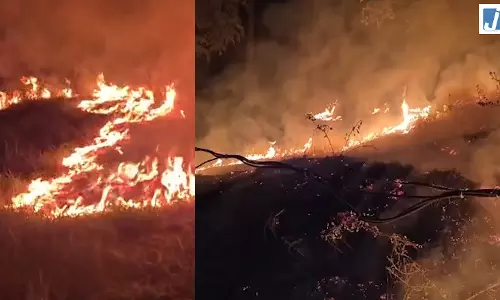 स्वास्थ्य केंद्र के जंगल में लगी आग से मची अफरा-तफरी