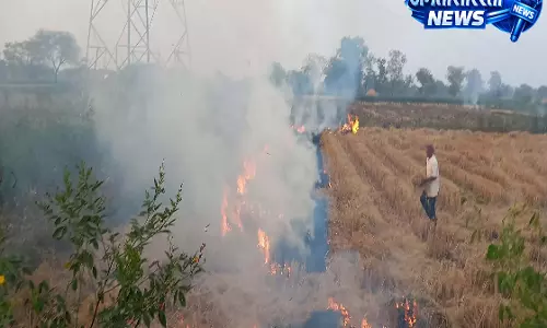 CG: पराली जलाने पर सख्ती, किसानों पर 15 हजार रुपये तक लगेगा जुर्माना CG: पराली जलाने पर सख्ती, किसानों पर 15 हजार रुपये तक लगेगा जुर्माना