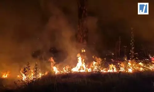 FIRE: ब्रिटिश काल के कब्रिस्तान और मेंटल हॉस्पिटल तक पहुंचीं आग की लपटें FIRE: ब्रिटिश काल के कब्रिस्तान और मेंटल हॉस्पिटल तक पहुंचीं आग की लपटें