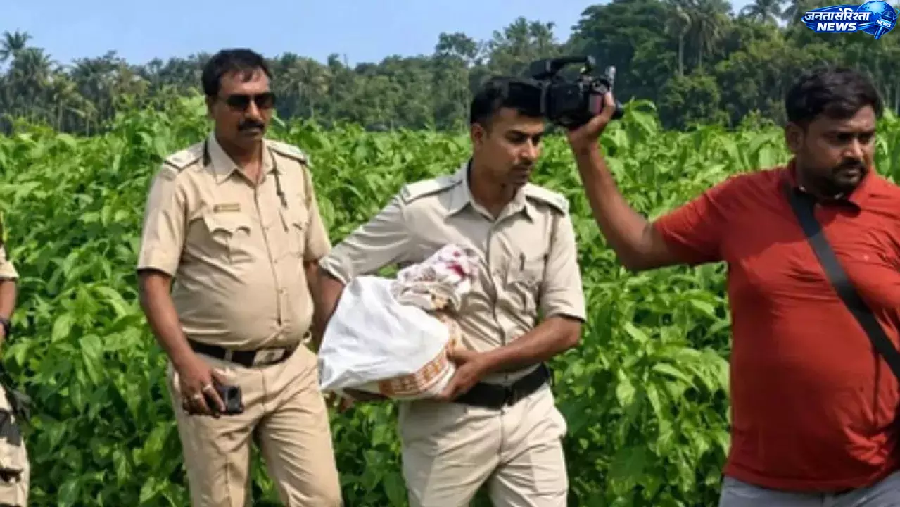 Bengal: चेयरमैन के खेत से 2.24 करोड़ कैश बरामद Bengal: चेयरमैन के खेत से 2.24 करोड़ कैश बरामद