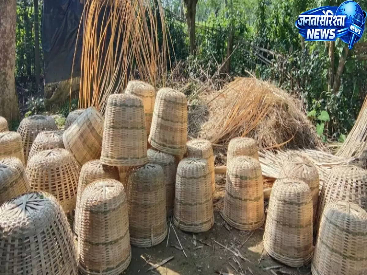 Assam: जलवायु परिवर्तन और बढ़ती ईंधन कीमतों ने चाय श्रमिकों की मुश्किलें बढ़ाईं Assam: जलवायु परिवर्तन और बढ़ती ईंधन कीमतों ने चाय श्रमिकों की मुश्किलें बढ़ाईं