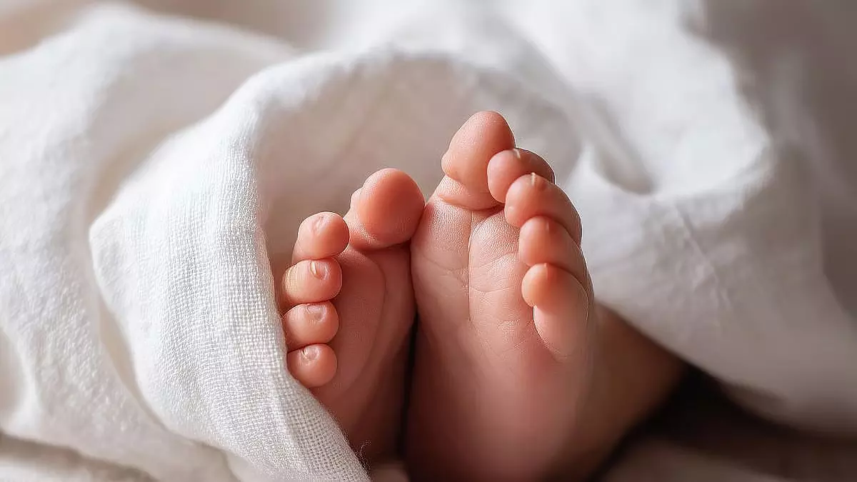 Mumbai : राजावाड़ी अस्पताल के बाथरूम में मिला नवजात, पुलिस ने दर्ज किया मामला Mumbai : राजावाड़ी अस्पताल के बाथरूम में मिला नवजात, पुलिस ने दर्ज किया मामला