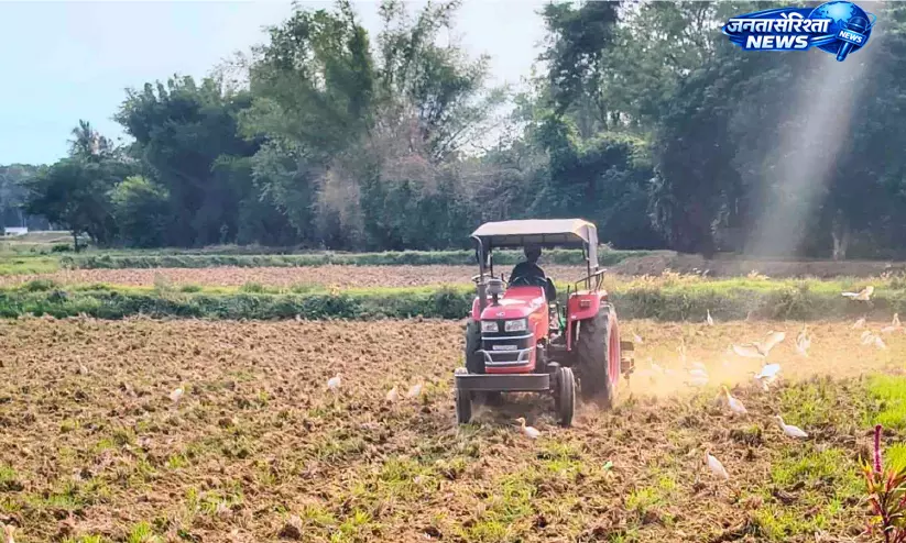 Kerala : बारिश की अनिश्चितता के बीच किसानों ने शुरू की पहली धान फसल की कटाई Kerala : बारिश की अनिश्चितता के बीच किसानों ने शुरू की पहली धान फसल की कटाई