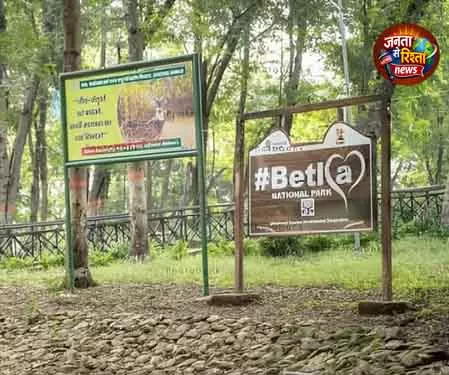Ranchi पलामू टाइगर रिजर्व क्षेत्र में निर्माण पर जांच शुरू Ranchi पलामू टाइगर रिजर्व क्षेत्र में निर्माण पर जांच शुरू