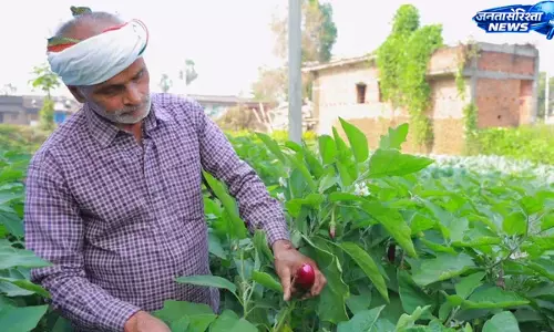 Bihar : काको के किसान सुरेंद्र सिंह ने आधुनिक खेती से बढ़ाई आमदनी Bihar : काको के किसान सुरेंद्र सिंह ने आधुनिक खेती से बढ़ाई आमदनी