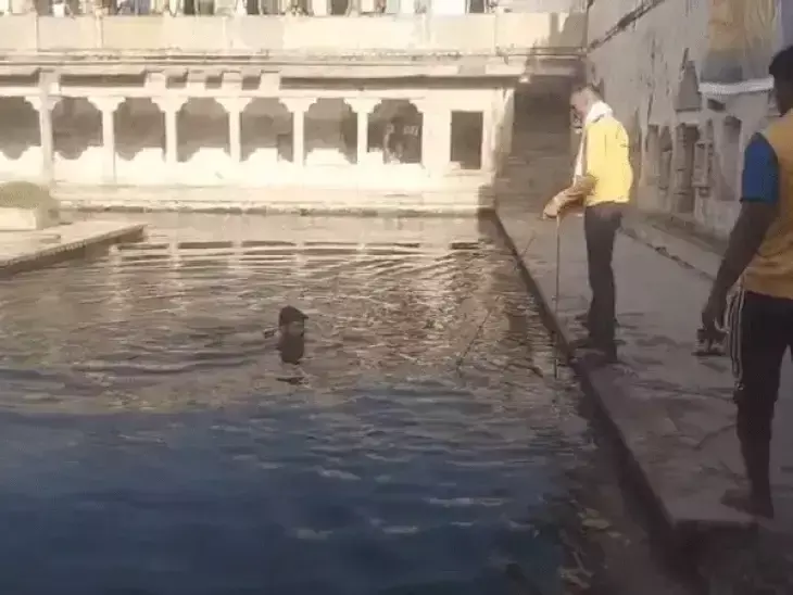 Udaipur: स्विमिंग सिखाते समय पिता की कुंड में डूबने से दर्दनाक मौत Udaipur: स्विमिंग सिखाते समय पिता की कुंड में डूबने से दर्दनाक मौत