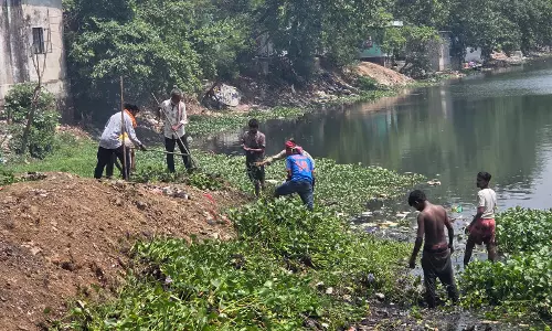 हांडी तालाब तात्यापारा में जलकुम्भी हटाने अभियान चलाया गया हांडी तालाब तात्यापारा में जलकुम्भी हटाने अभियान चलाया गया