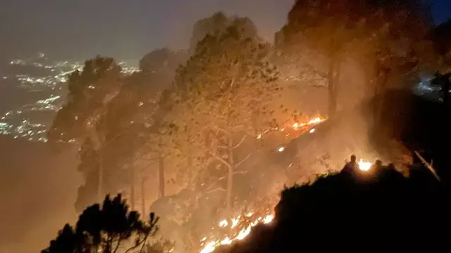 Shimla: हिमाचल में जंगलों की आग से भारी नुकसान Shimla: हिमाचल में जंगलों की आग से भारी नुकसान