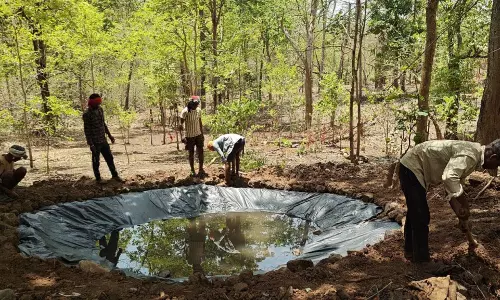 भीषण गर्मी से वन्यजीवों पर संकट, वन विभाग सतर्क