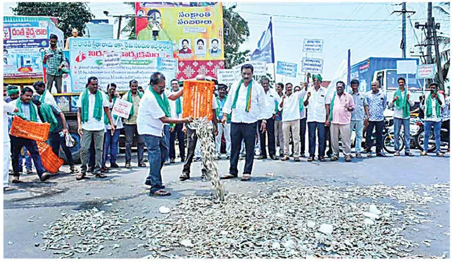Andhra: एक्वा सेक्टर गंभीर संकट से जूझ रहा है Andhra: एक्वा सेक्टर गंभीर संकट से जूझ रहा है
