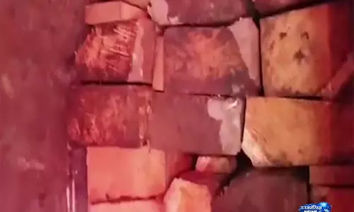 PoJK: नीलम घाटी में लकड़ी की तस्करी के विशाल नेटवर्क का भंडाफोड़ PoJK: नीलम घाटी में लकड़ी की तस्करी के विशाल नेटवर्क का भंडाफोड़