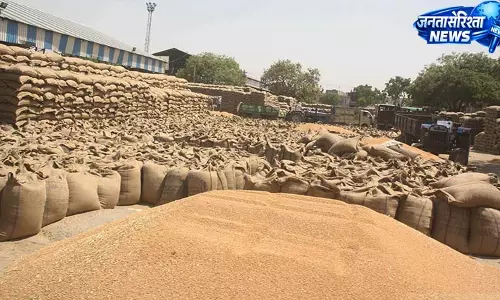 किसानों से 4459.15 मीट्रिक टन गेहूं की खरीद
