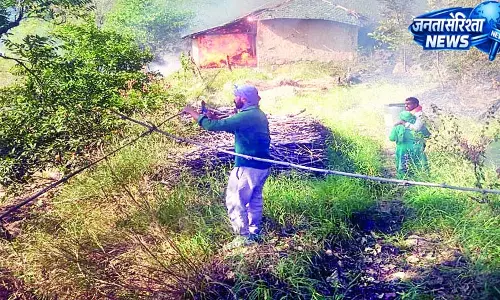 बंगाणा के हरोट में जंगल की आग ने मचाई तबाही, पशुशाला जलकर राख बंगाणा के हरोट में जंगल की आग ने मचाई तबाही, पशुशाला जलकर राख