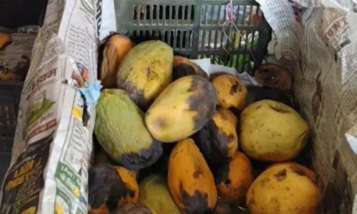 बस स्टैंड में ख़राब आम बिक रही थी, खाद्य विभाग ने मारी रेड बस स्टैंड में ख़राब आम बिक रही थी, खाद्य विभाग ने मारी रेड
