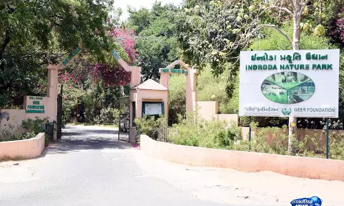 Indroda Zoo में गर्मी से बचाव के लिए खास इंतज़ाम Indroda Zoo में गर्मी से बचाव के लिए खास इंतज़ाम