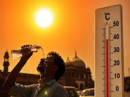 भीषण गर्मी और बढ़ते तापमान पर एनजीटी ने लिया संज्ञान, केंद्र और राज्य सरकारों से मांगा जवाब भीषण गर्मी और बढ़ते तापमान पर एनजीटी ने लिया संज्ञान, केंद्र और राज्य सरकारों से मांगा जवाब