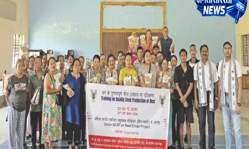Dimapur: ICAR ने किसानों को चावल बीज उत्पादन की उन्नत तकनीकों का प्रशिक्षण दिया Dimapur: ICAR ने किसानों को चावल बीज उत्पादन की उन्नत तकनीकों का प्रशिक्षण दिया