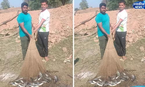 MP ; इंद्रजीत गुंडिया ने मछली पालन से हासिल की सफलता, सरकारी योजना बनी सहारा MP ; इंद्रजीत गुंडिया ने मछली पालन से हासिल की सफलता, सरकारी योजना बनी सहारा