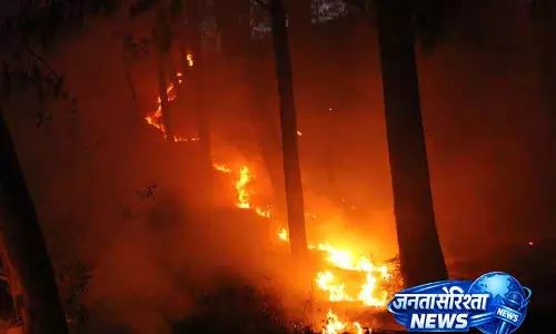 Himachal में जंगल की आग तीन गुना बढ़ी