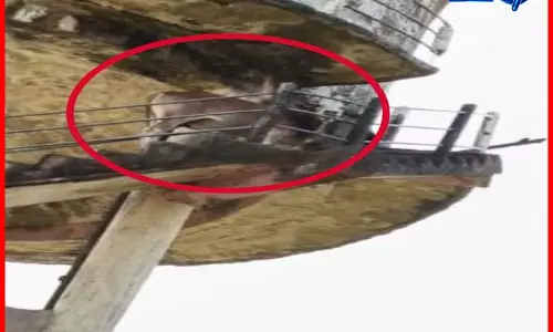 पानी की टंकी पर चढ़ा सांड, ग्रामीणों ने देसी तरीके से किया रेस्क्यू पानी की टंकी पर चढ़ा सांड, ग्रामीणों ने देसी तरीके से किया रेस्क्यू