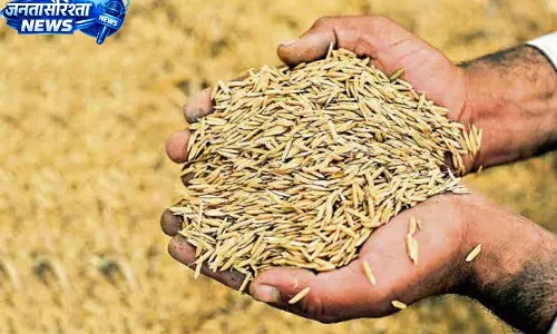 सरकारी केंद्रों से धान का बीज गायब, खाली हाथ लौट रहे किसान सरकारी केंद्रों से धान का बीज गायब, खाली हाथ लौट रहे किसान