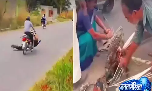 घायल राष्ट्रीय पक्षी के साथ क्रूरता, मदद की जगह पंख नोचते दिखे लोग, VIDEO वायरल