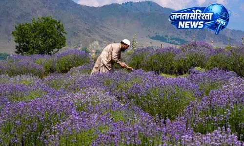 लैवेंडर फेस्टिवल 2026 J&K की भद्रवाह घाटी में 6-7 जून को होगा