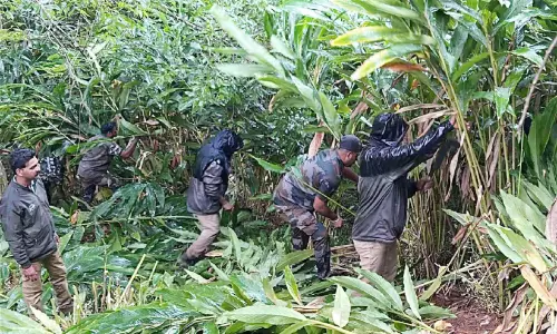 Chinnakanal जंगल में बड़े पैमाने पर अतिक्रमण हटाया गया, 1.5 हेक्टेयर वन भूमि वापस कब्जे में