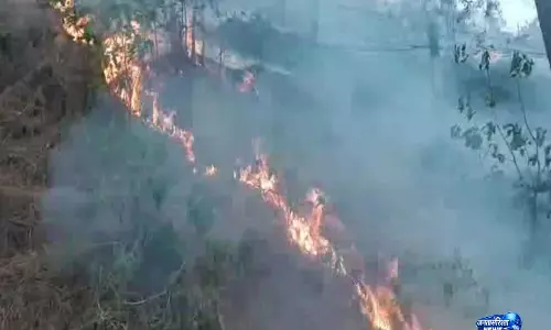 Rajouri के कई इलाकों में जंगल की आग भड़की, आग बुझाने का काम जारी Rajouri के कई इलाकों में जंगल की आग भड़की, आग बुझाने का काम जारी