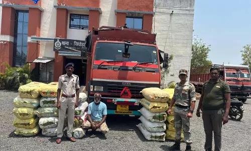 कंपनी के सामान के आड़ में गांजा तस्करी, 3 करोड़ का गांजा जब्त कंपनी के सामान के आड़ में गांजा तस्करी, 3 करोड़ का गांजा जब्त