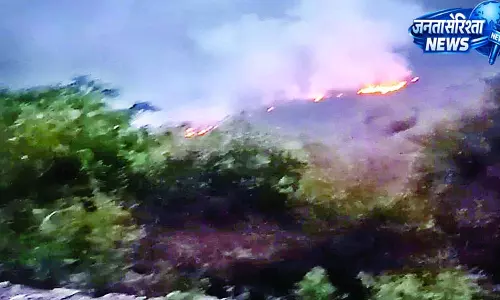 कमलाडुंगरी जंगल में भीषण आग