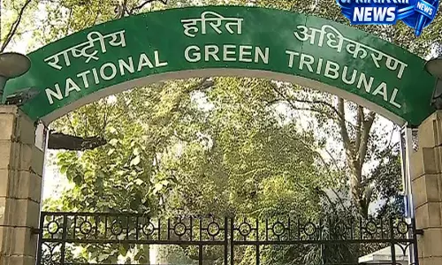 Assam: रेलवे दोहरीकरण परियोजना के लिए दीपोर बील में पेड़ों की कटाई पर NGT ने मांगा जवाब Assam: रेलवे दोहरीकरण परियोजना के लिए दीपोर बील में पेड़ों की कटाई पर NGT ने मांगा जवाब
