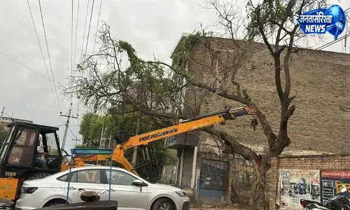 Sirsa में बारिश से ठंड बढ़ी, बिजली व्यवस्था बाधित Sirsa में बारिश से ठंड बढ़ी, बिजली व्यवस्था बाधित
