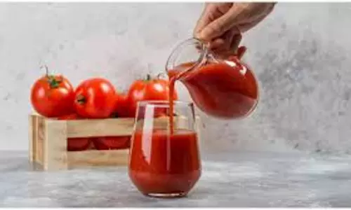 हर स्नैक के साथ सॉस की ज़िद? नोट करें स्वादिष्ट और नेचुरल टोमैटो सॉस की आसान रेसिपी हर स्नैक के साथ सॉस की ज़िद? नोट करें स्वादिष्ट और नेचुरल टोमैटो सॉस की आसान रेसिपी