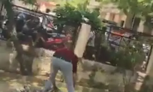 बंदर ने पेड़ से नोटों की बारिश कर दी, कोर्ट परिसर का मामला