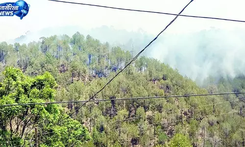 हमीरपुर का 105 हेक्टेयर जंगल चढ़ा आग की भेंट, वन संपदा राख