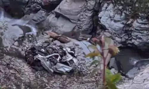 छत्तीसगढ़ के 4 लोगों की हिमाचल हादसे में मौत छत्तीसगढ़ के 4 लोगों की हिमाचल हादसे में मौत