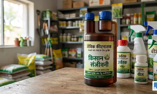 महिला ने तीन छोटी बेटियों के साथ पीया कीटनाशक, चारों की मौत महिला ने तीन छोटी बेटियों के साथ पीया कीटनाशक, चारों की मौत