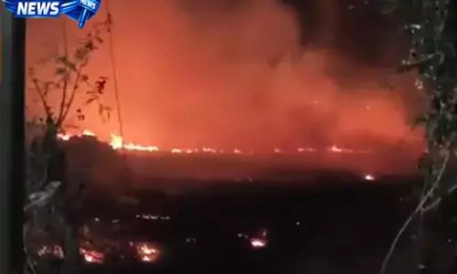 करेठा में भीषण आग से तबाही, 10 एकड़ से अधिक खेत और बाड़ियां जलीं