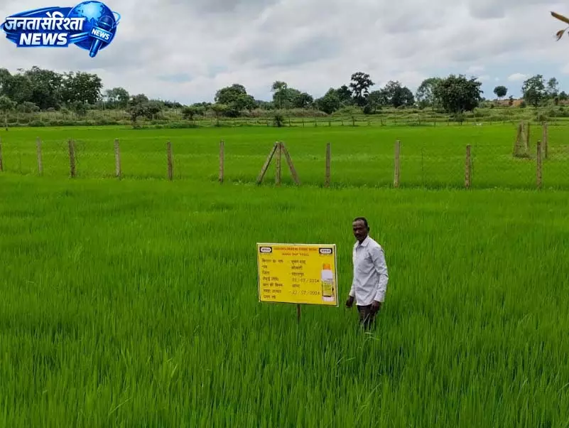 नैनो यूरिया और नैनो डीएपी का उपयोग कम लागत में ज्यादा उत्पादन नैनो यूरिया और नैनो डीएपी का उपयोग कम लागत में ज्यादा उत्पादन