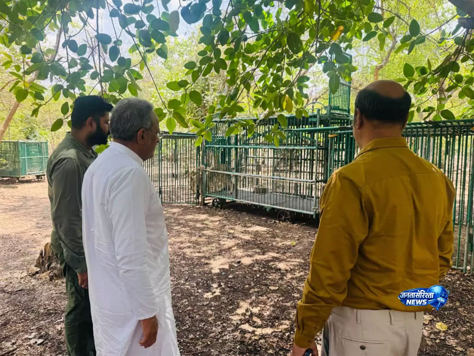 गिर जंगल में एशियाई शेरों की स्वास्थ्य स्थिति का जायजा लेने पहुंचे Gujarat के मंत्री गिर जंगल में एशियाई शेरों की स्वास्थ्य स्थिति का जायजा लेने पहुंचे Gujarat के मंत्री