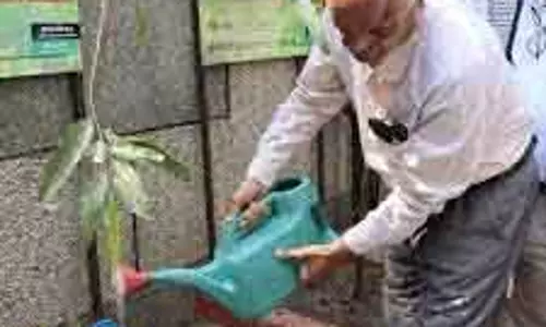 Delhi NDMC वाइस-चेयरमैन ने पौधारोपण अभियान का नेतृत्व किया