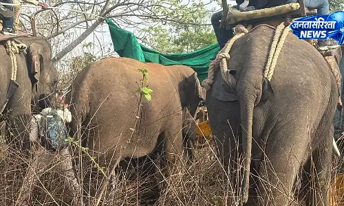 Bandhavgarh टाइगर रिज़र्व में शिफ्ट हुआ हिंसक हाथी, सैटेलाइट कॉलर से हो रही निगरानी Bandhavgarh टाइगर रिज़र्व में शिफ्ट हुआ हिंसक हाथी, सैटेलाइट कॉलर से हो रही निगरानी